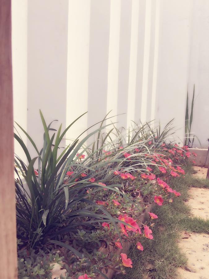 פלייקו Hani House מראה חיצוני תמונה